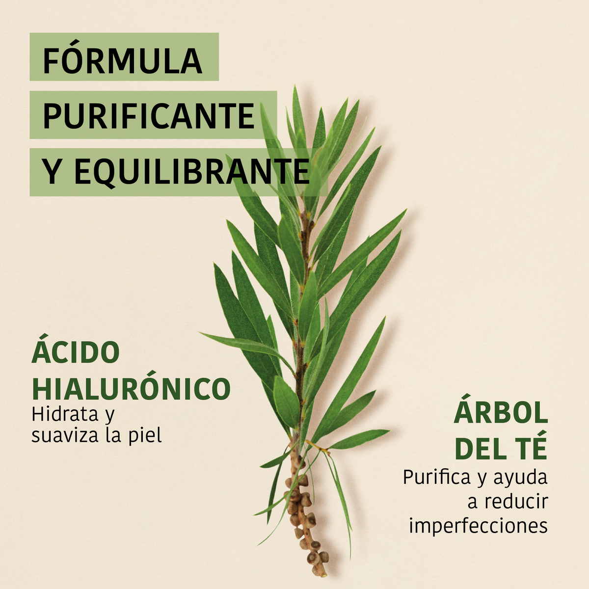 Purifying Face Sheet Mask with Tea Tree